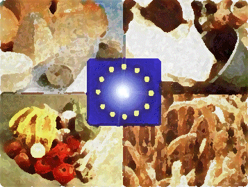 Kimayo et EURAGRO unissent leurs forces