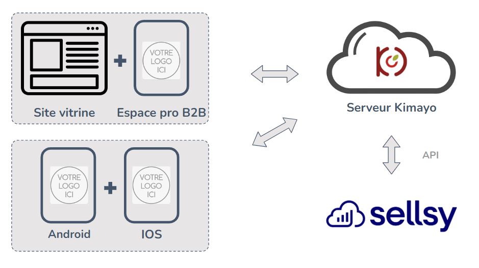 connecteur API site ecommerce Sellsy Kimayo