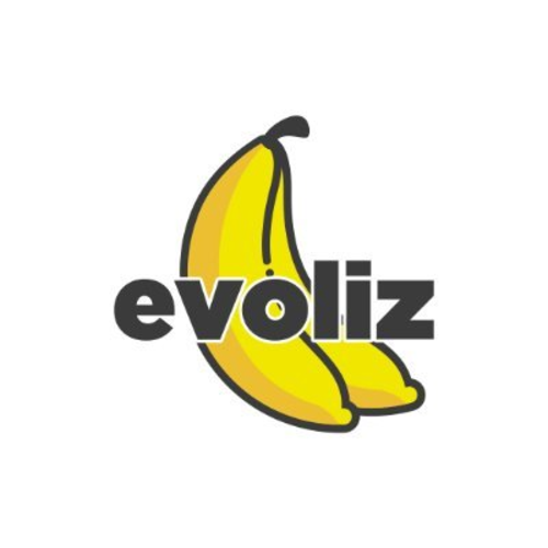 Evoliz connecteur site web B2B
