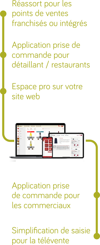 solutions pour la prise de commande b2b mobile