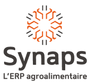 Synaps connecteur site web B2B